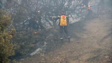 Feux de forêt. Les efforts se poursuivent ce 17 juillet pour stopper l'avancée des feux