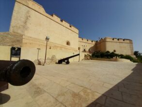 Au Musée militaire de Fès, une reconstitution grandeur nature de l'histoire des armes