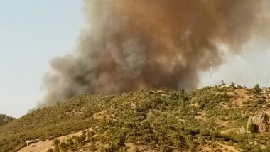 Feux de forêt : le Maroc se prépare à une saison encore plus intense