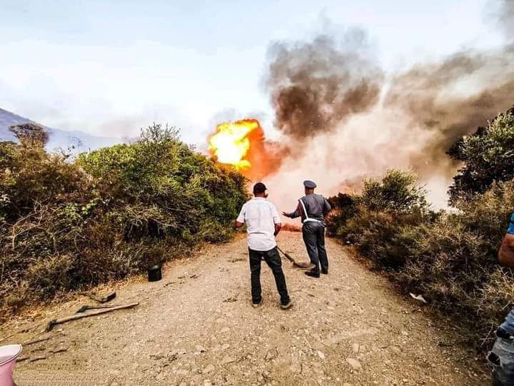 Les efforts se poursuivent pour maîtriser les feux de forêt à Larache, Taounate et Tétouan