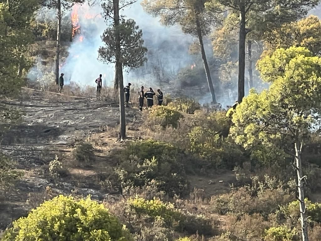 Les efforts se poursuivent pour maîtriser les feux de forêt à Larache, Taounate et Tétouan