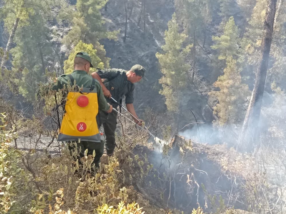 Les efforts se poursuivent pour maîtriser les feux de forêt à Larache, Taounate et Tétouan