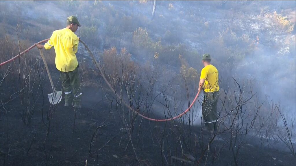 Les efforts se poursuivent pour maîtriser les feux de forêt à Larache, Taounate et Tétouan