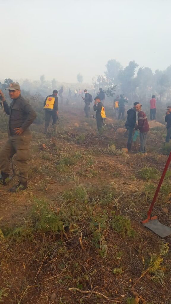 Les efforts se poursuivent pour maîtriser les feux de forêt à Larache, Taounate et Tétouan