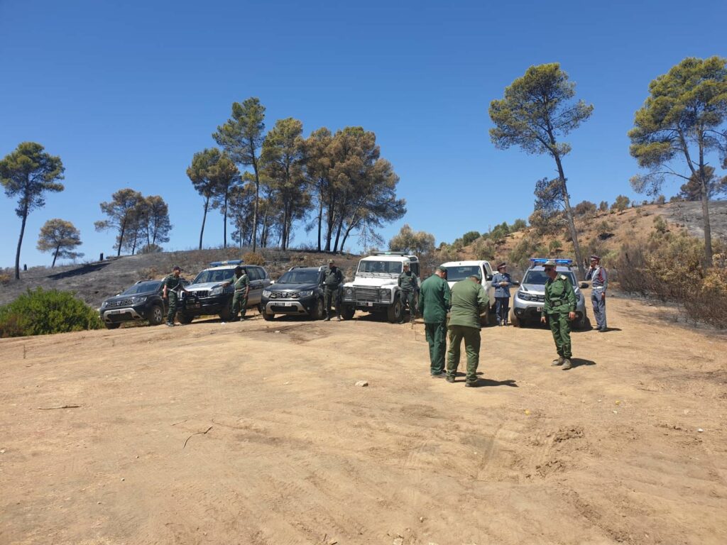 Les efforts se poursuivent pour maîtriser les feux de forêt à Larache, Taounate et Tétouan