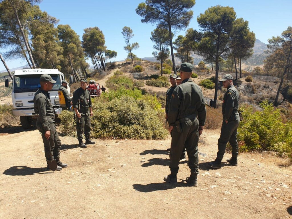 Les efforts se poursuivent pour maîtriser les feux de forêt à Larache, Taounate et Tétouan