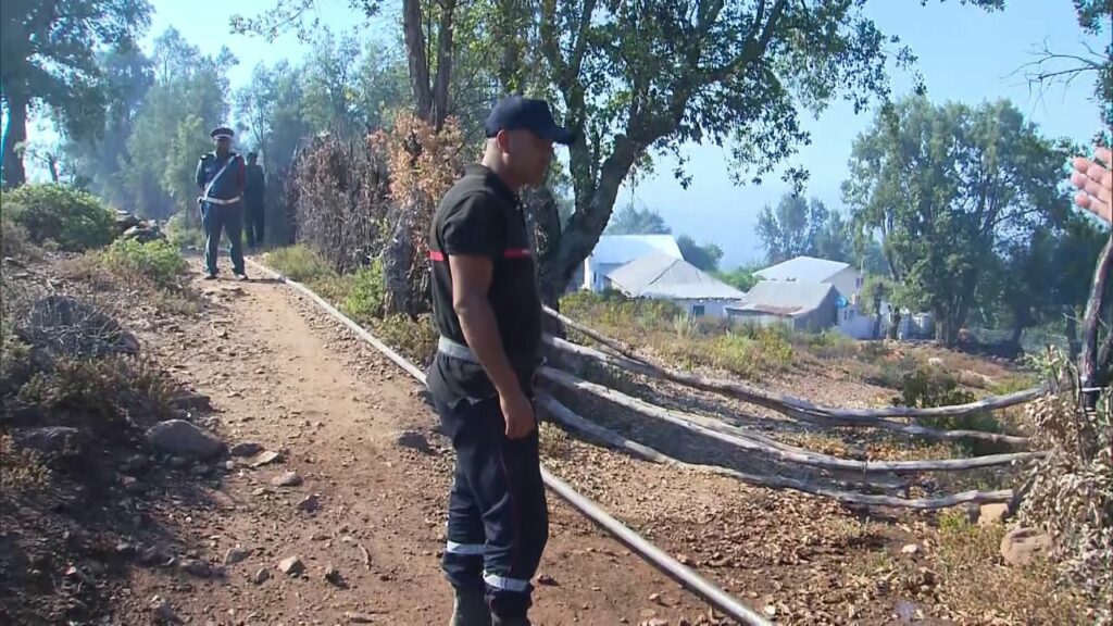 En direct. Feux de forêt : la situation dans les provinces de Larache et Tétouan