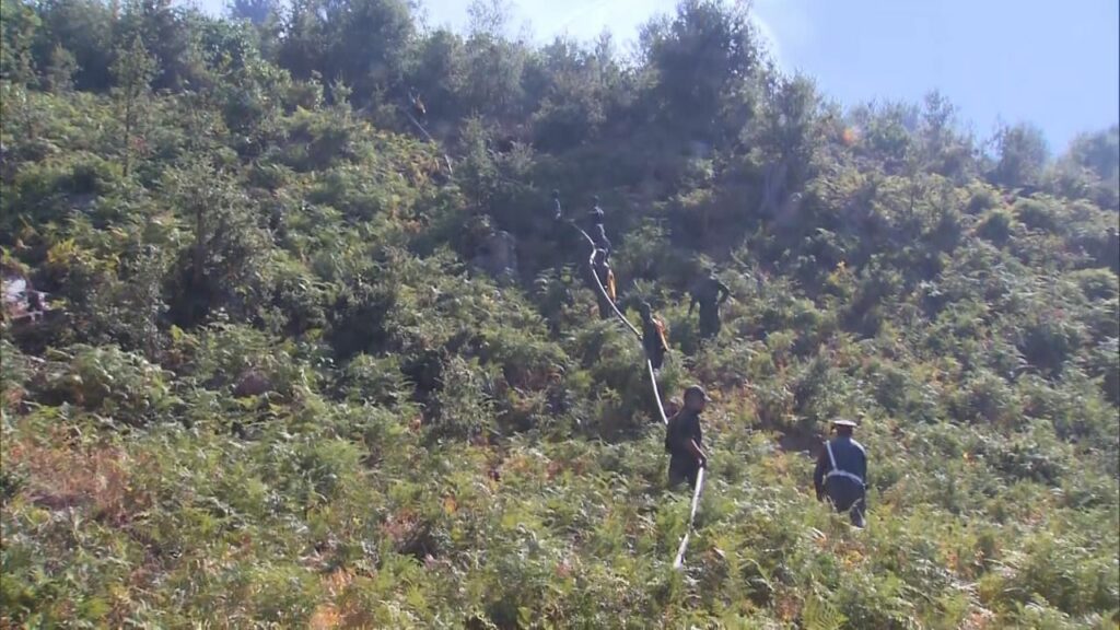 En direct. Feux de forêt : la situation dans les provinces de Larache et Tétouan