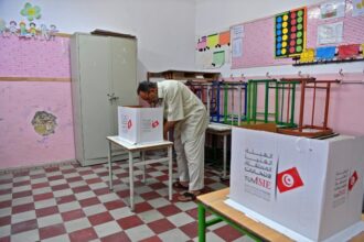 Tunisie: la nouvelle constitution adoptée à 94,6% des voix (résultats définitifs)