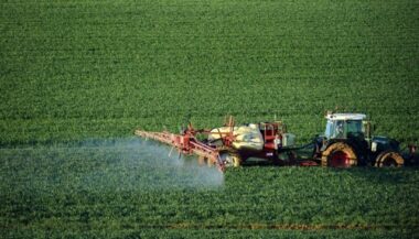 OCP dans les radars de l'Europe pour combler son déficit en engrais