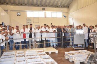 Produits de la pêche : la vente aux enchères digitalisée sera généralisée à tous les ports nationaux (ONP)