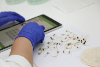 La banque de gènes de l’INRA conserve près de 72.000 accessions à Settat