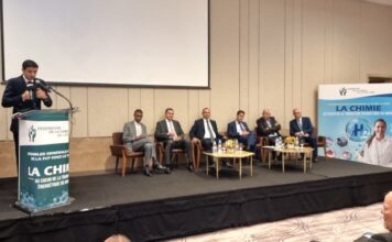 Air Liquide et Maghreb Steel collaborent pour produire de l’hydrogène vert