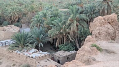 Des femmes oasiennes face au défi de la pénurie d’eau
