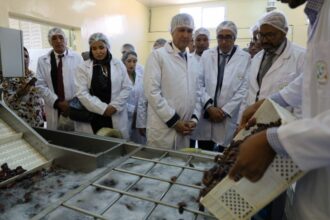 1,5 milliard de DH pour le développement agricole de la province de Zagora