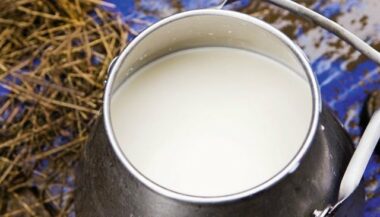 Filière laitière : &ldquo;La quantité de lait collectée a baissé d'environ 20% selon les régions&rdquo; (Sadiki)