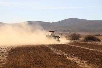 Fès-Meknès. Voici l’état d’avancement de la campagne agricole 2024-2025