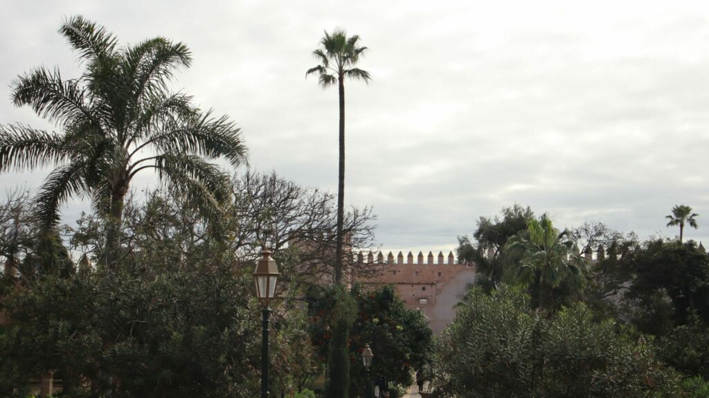 Plongée à 360° dans le monde de la parure marocaine