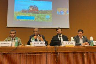 Chanvre industriel : le Maroc peut rapidement intégrer le top 5 mondial (investisseur)