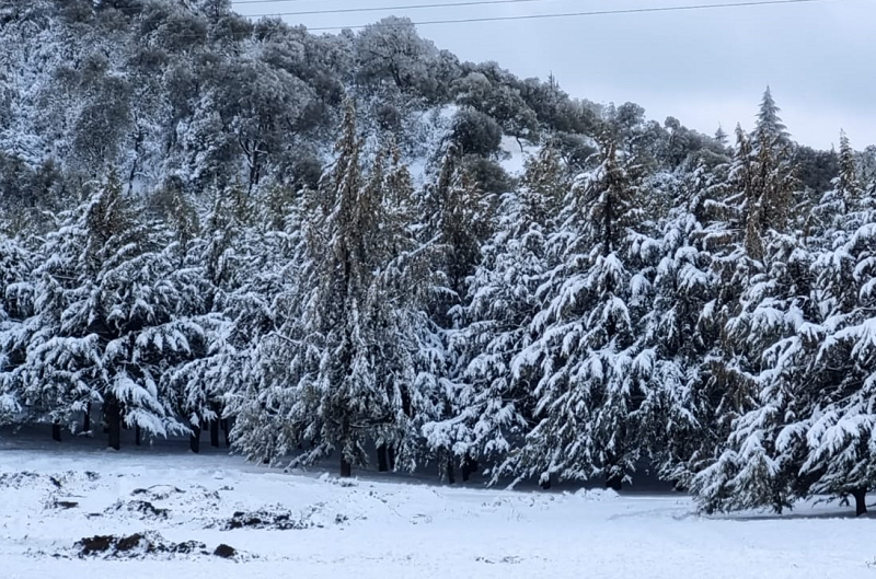 Fortes pluies et chutes de neige dès ce mardi