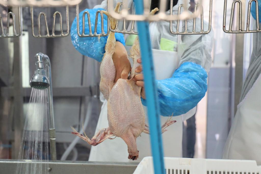 De la production à la commercialisation, le circuit complet de la volaille expliqué par le directeur de la FISA