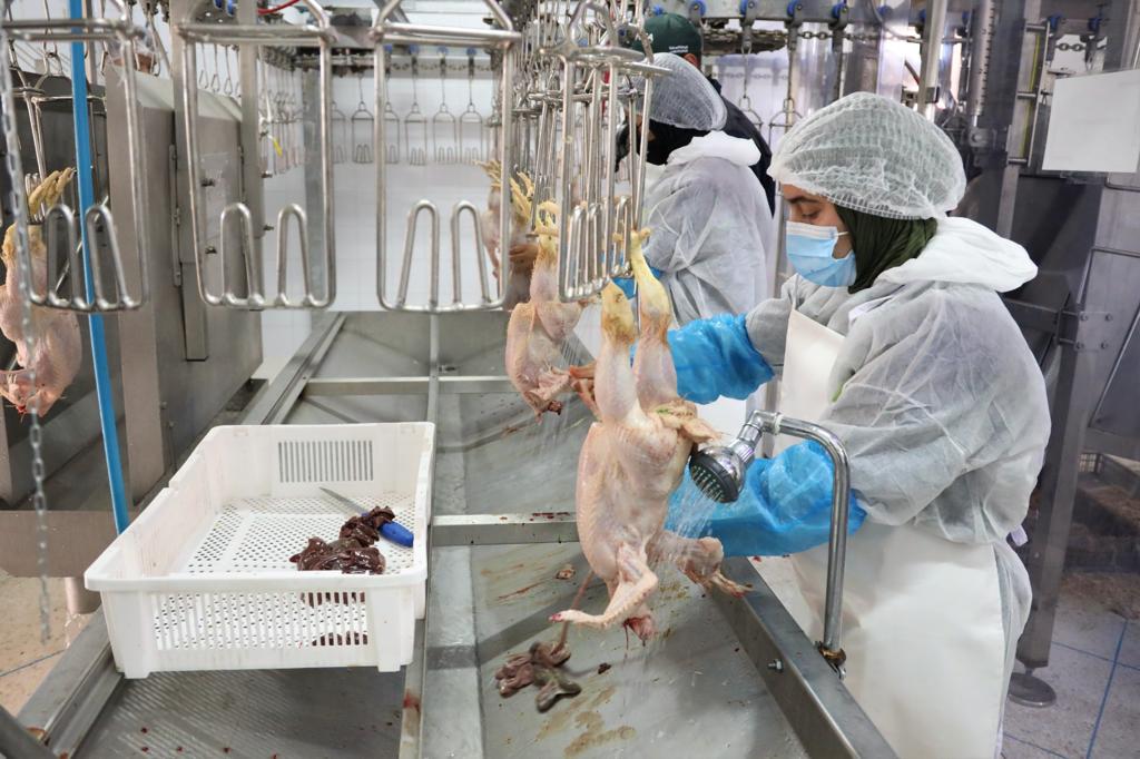 De la production à la commercialisation, le circuit complet de la volaille expliqué par le directeur de la FISA