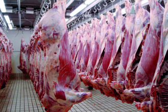 Viandes rouges : voici pourquoi les prix ont doublé en quatre ans