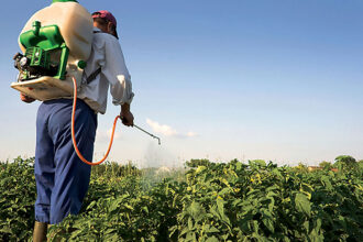 Controversé et objet d’appel à l’interdiction en Europe, le glyphosate sous surveillance au Maroc