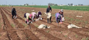 Round up. Tout savoir sur la hausse du SMAG