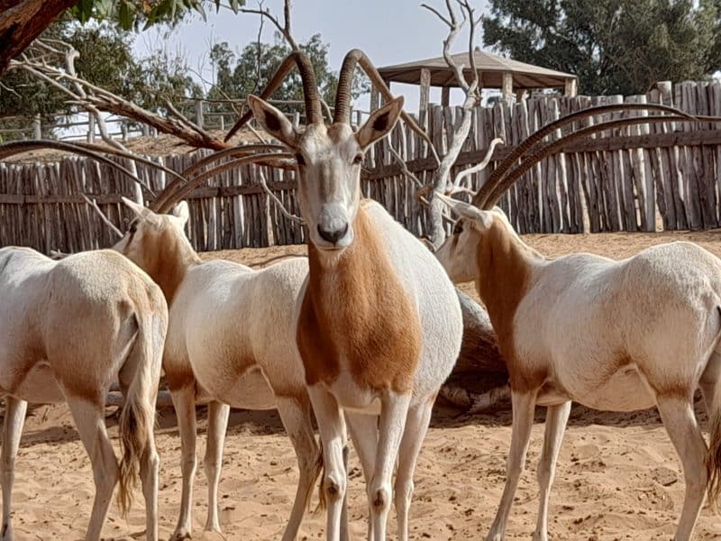Agadir. Au pays du soleil éternel