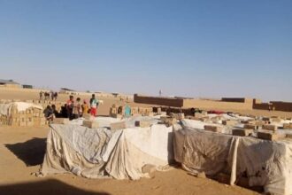 Insoutenable situation des migrants abandonnés dans le désert du Niger par l'Algérie