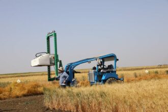 La plateforme de démonstration de l'INRA à Marchouch, une vitrine de la création variétale
