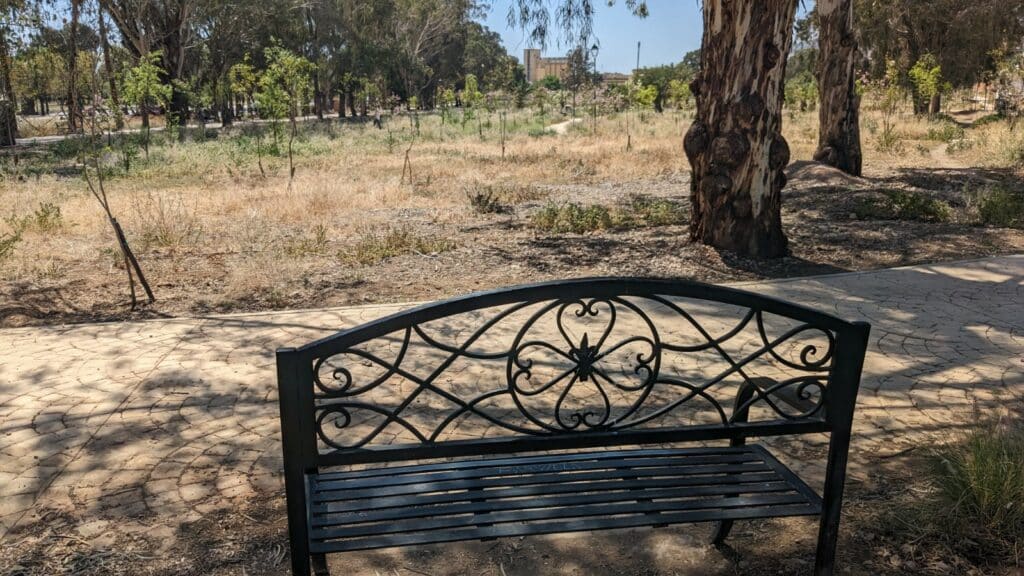 EN IMAGES. À Fès, de nouveaux espaces verts voient le jour