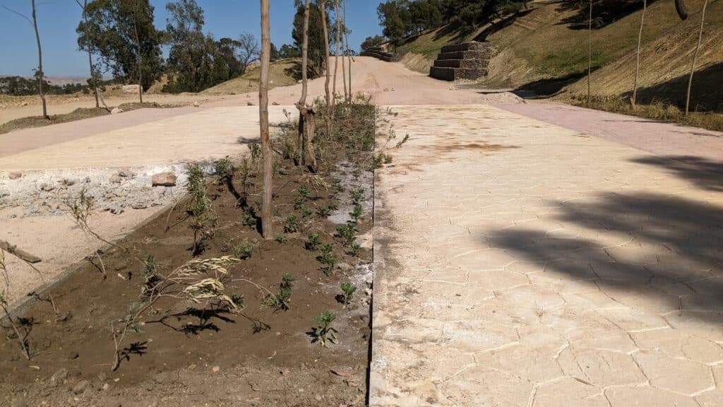 EN IMAGES. À Fès, de nouveaux espaces verts voient le jour