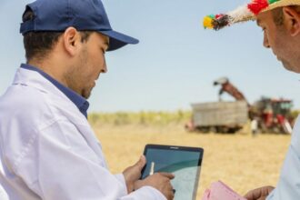 Agriculture 4.0. Comment Cosumar déploie son arsenal technologique sur le terrain