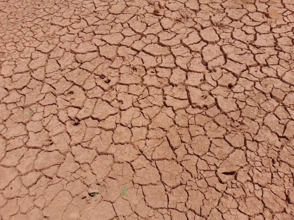 Le secteur bancaire, vulnérable aux risques climatiques (BAM et BM)