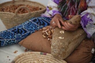 Argane. Hold-up sur un patrimoine national : convoitises (4/4)