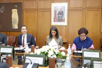 Gestion des fonds sectoriels et thématiques : le FM6I a reçu 46 dossiers de candidature