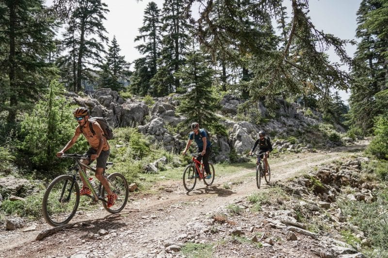 Parc national de Talassemtane. Au cœur des sapinières enneigées du Rif