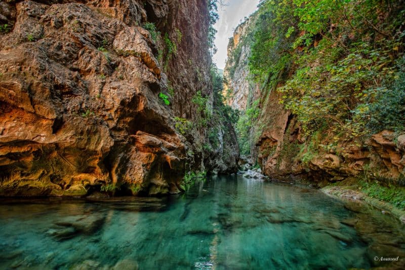 Parc national de Talassemtane. Au cœur des sapinières enneigées du Rif