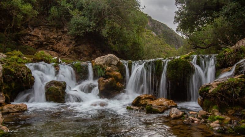 Parc national de Talassemtane. Au cœur des sapinières enneigées du Rif