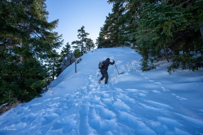 Parc national de Talassemtane. Au cœur des sapinières enneigées du Rif