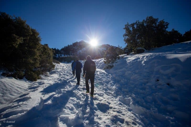 Parc national de Talassemtane. Au cœur des sapinières enneigées du Rif