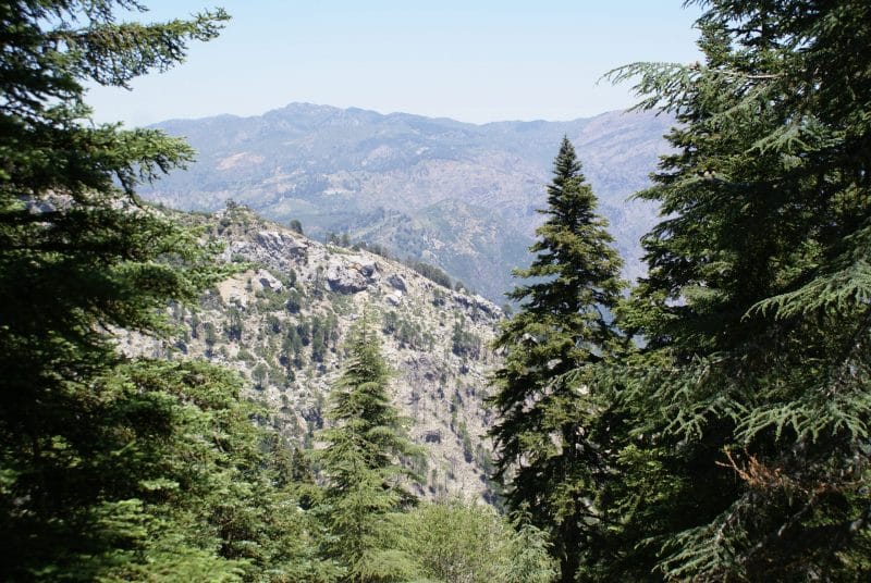 Parc national de Talassemtane. Au cœur des sapinières enneigées du Rif