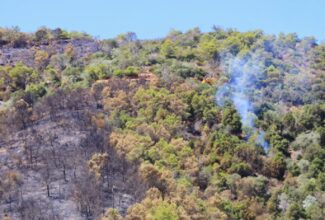Risque &ldquo;extrême&rdquo; de feux de forêt les 12 et 13 juillet à Chefchaouen