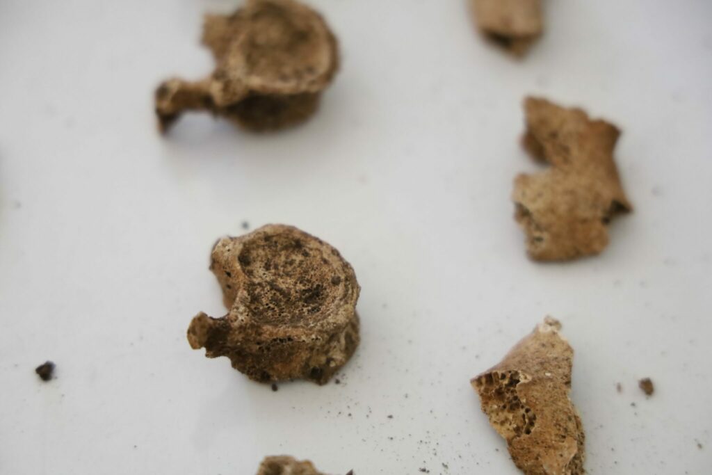 Archéologie préhistorique : on en sait davantage sur les vestiges retrouvés dans les Rehamna