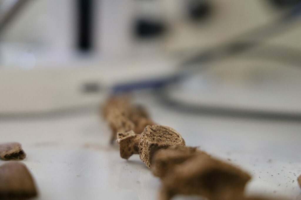 Archéologie préhistorique : on en sait davantage sur les vestiges retrouvés dans les Rehamna