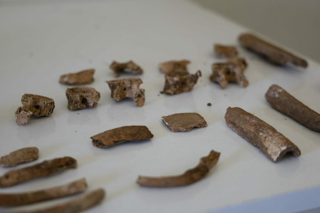 Archéologie préhistorique : on en sait davantage sur les vestiges retrouvés dans les Rehamna