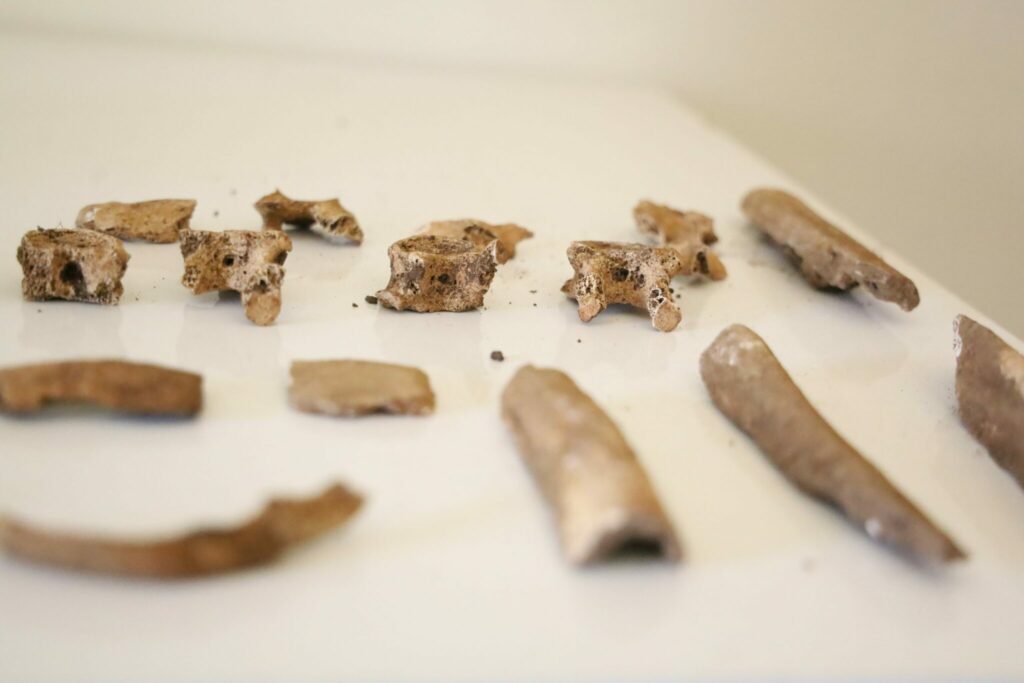Archéologie préhistorique : on en sait davantage sur les vestiges retrouvés dans les Rehamna