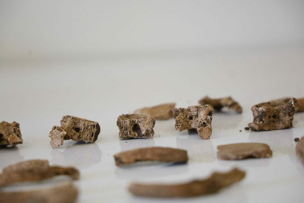 Archéologie préhistorique : on en sait davantage sur les vestiges retrouvés dans les Rehamna